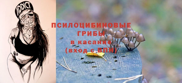 дмт Баксан